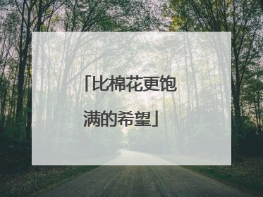 比棉花更饱满的希望