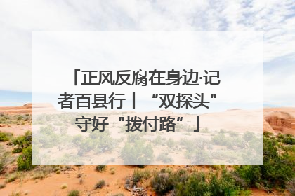 正风反腐在身边·记者百县行丨“双探头”守好“拨付路”