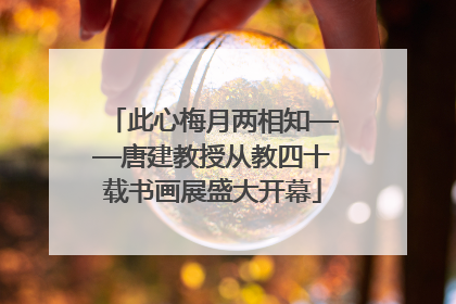 此心梅月两相知——唐建教授从教四十载书画展盛大开幕