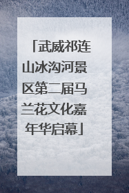 武威祁连山冰沟河景区第二届马兰花文化嘉年华启幕