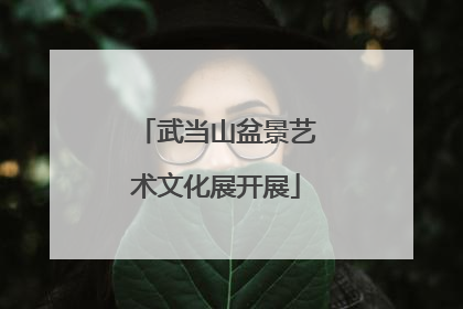 武当山盆景艺术文化展开展
