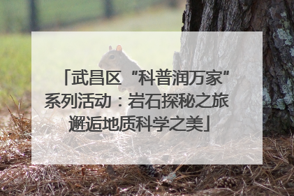 武昌区“科普润万家”系列活动：岩石探秘之旅 邂逅地质科学之美