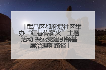 武昌区都府堤社区举办“红巷传薪火”主题活动 探索党建引领基层治理新路径