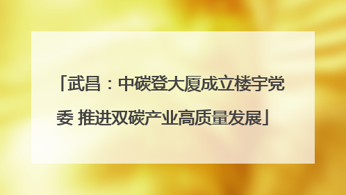 武昌：中碳登大厦成立楼宇党委 推进双碳产业高质量发展