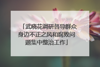 武晓花调研督导群众身边不正之风和腐败问题集中整治工作