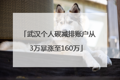 武汉个人碳减排账户从3万暴涨至160万