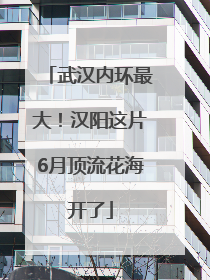 武汉内环最大！汉阳这片6月顶流花海开了