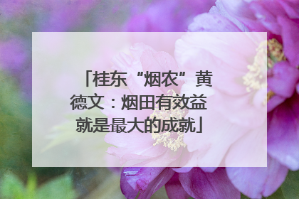 桂东“烟农”黄德文：烟田有效益就是最大的成就