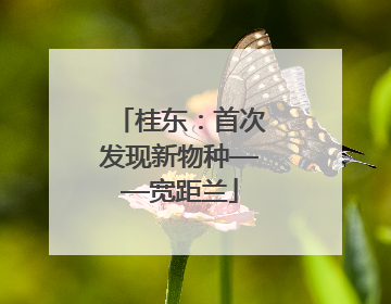 桂东：首次发现新物种——宽距兰