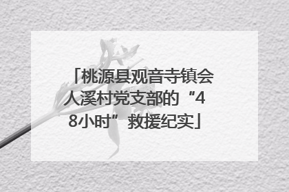 桃源县观音寺镇会人溪村党支部的“48小时”救援纪实