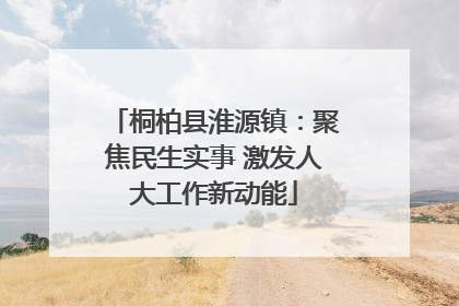 桐柏县淮源镇：聚焦民生实事 激发人大工作新动能
