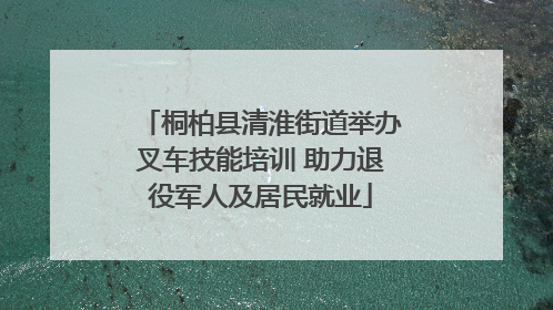 桐柏县清淮街道举办叉车技能培训 助力退役军人及居民就业
