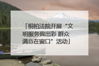 桐柏法院开展“文明服务我出彩 群众满意在窗口”活动