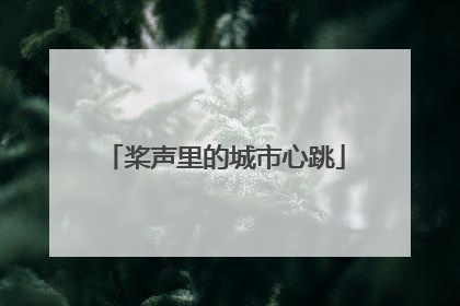 桨声里的城市心跳