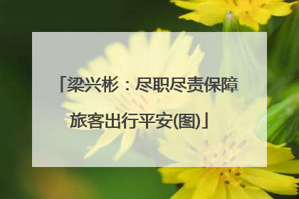 梁兴彬：尽职尽责保障旅客出行平安(图)