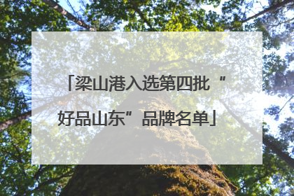 梁山港入选第四批“好品山东”品牌名单