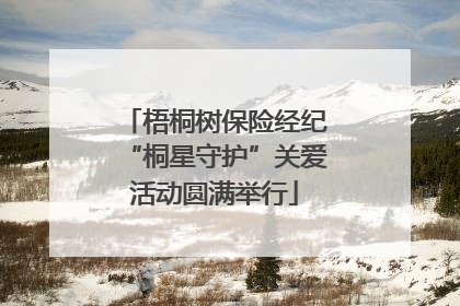 梧桐树保险经纪“桐星守护”关爱活动圆满举行