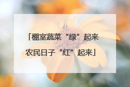 棚室蔬菜“绿”起来 农民日子“红”起来