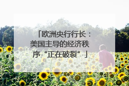 欧洲央行行长：美国主导的经济秩序“正在破裂”
