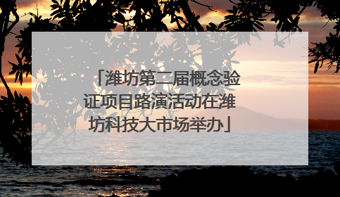 潍坊第二届概念验证项目路演活动在潍坊科技大市场举办