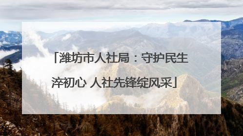 潍坊市人社局：守护民生淬初心 人社先锋绽风采