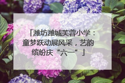 潍坊潍城芙蓉小学：童梦跃动展风采，艺韵缤纷庆“六一”