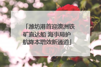 潍坊港首迎澳洲铁矿直达船 海事局护航降本增效新通道