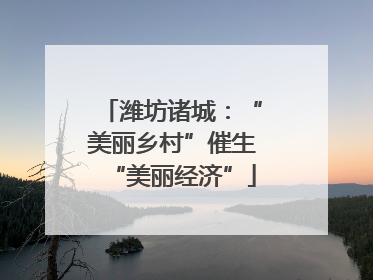 潍坊诸城：“美丽乡村”催生“美丽经济”