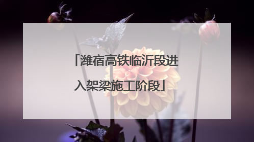 潍宿高铁临沂段进入架梁施工阶段