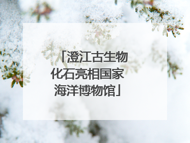 澄江古生物化石亮相国家海洋博物馆