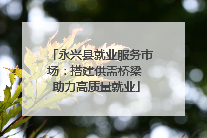 永兴县就业服务市场：搭建供需桥梁 助力高质量就业