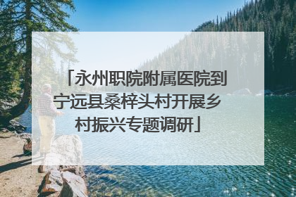 永州职院附属医院到宁远县桑梓头村开展乡村振兴专题调研