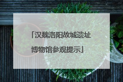 汉魏洛阳故城遗址博物馆参观提示