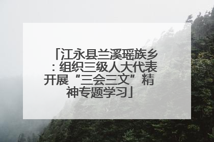 江永县兰溪瑶族乡：组织三级人大代表开展“三会三文”精神专题学习