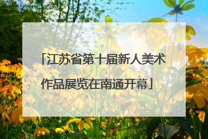 江苏省第十届新人美术作品展览在南通开幕
