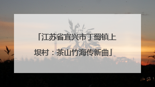 江苏省宜兴市丁蜀镇上坝村：茶山竹海传新曲