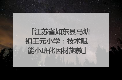江苏省如东县马塘镇王元小学：技术赋能小班化因材施教