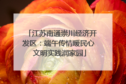 江苏南通崇川经济开发区：端午传情暖民心 文明实践润家园