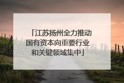 江苏扬州全力推动国有资本向重要行业和关键领域集中