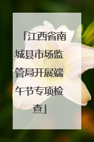 江西省南城县市场监管局开展端午节专项检查