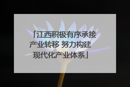 江西积极有序承接产业转移 努力构建现代化产业体系