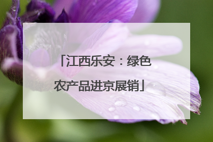 江西乐安：绿色农产品进京展销