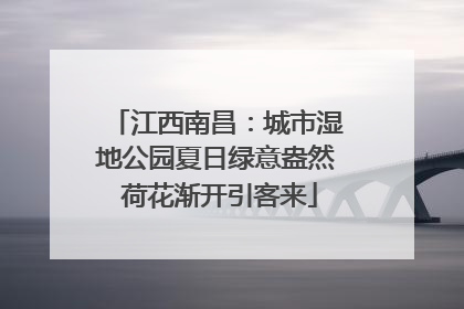 江西南昌：城市湿地公园夏日绿意盎然 荷花渐开引客来
