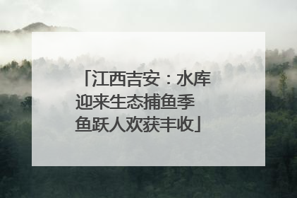 江西吉安：水库迎来生态捕鱼季 鱼跃人欢获丰收
