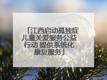 江西启动孤独症儿童关爱服务公益行动 提供系统化康复服务