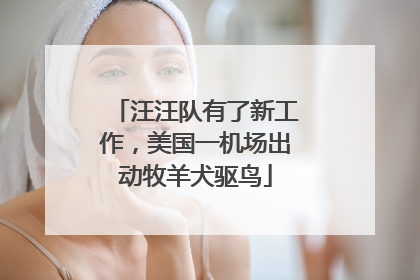 汪汪队有了新工作，美国一机场出动牧羊犬驱鸟
