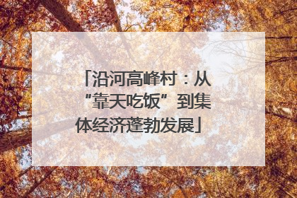 沿河高峰村：从“靠天吃饭”到集体经济蓬勃发展