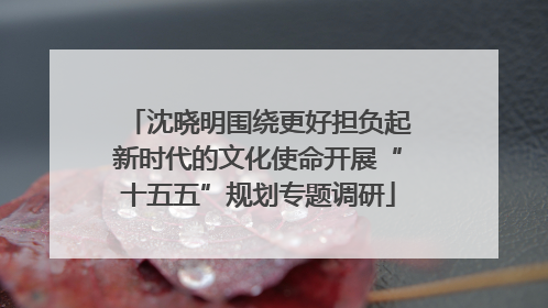 沈晓明围绕更好担负起新时代的文化使命开展“十五五”规划专题调研