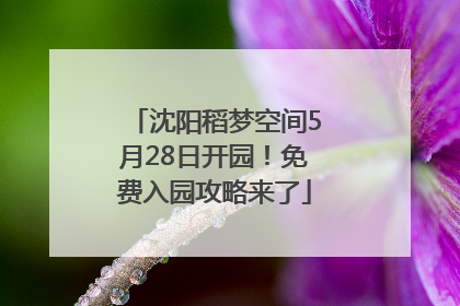 沈阳稻梦空间5月28日开园！免费入园攻略来了