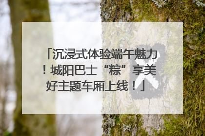 沉浸式体验端午魅力！城阳巴士“粽”享美好主题车厢上线！